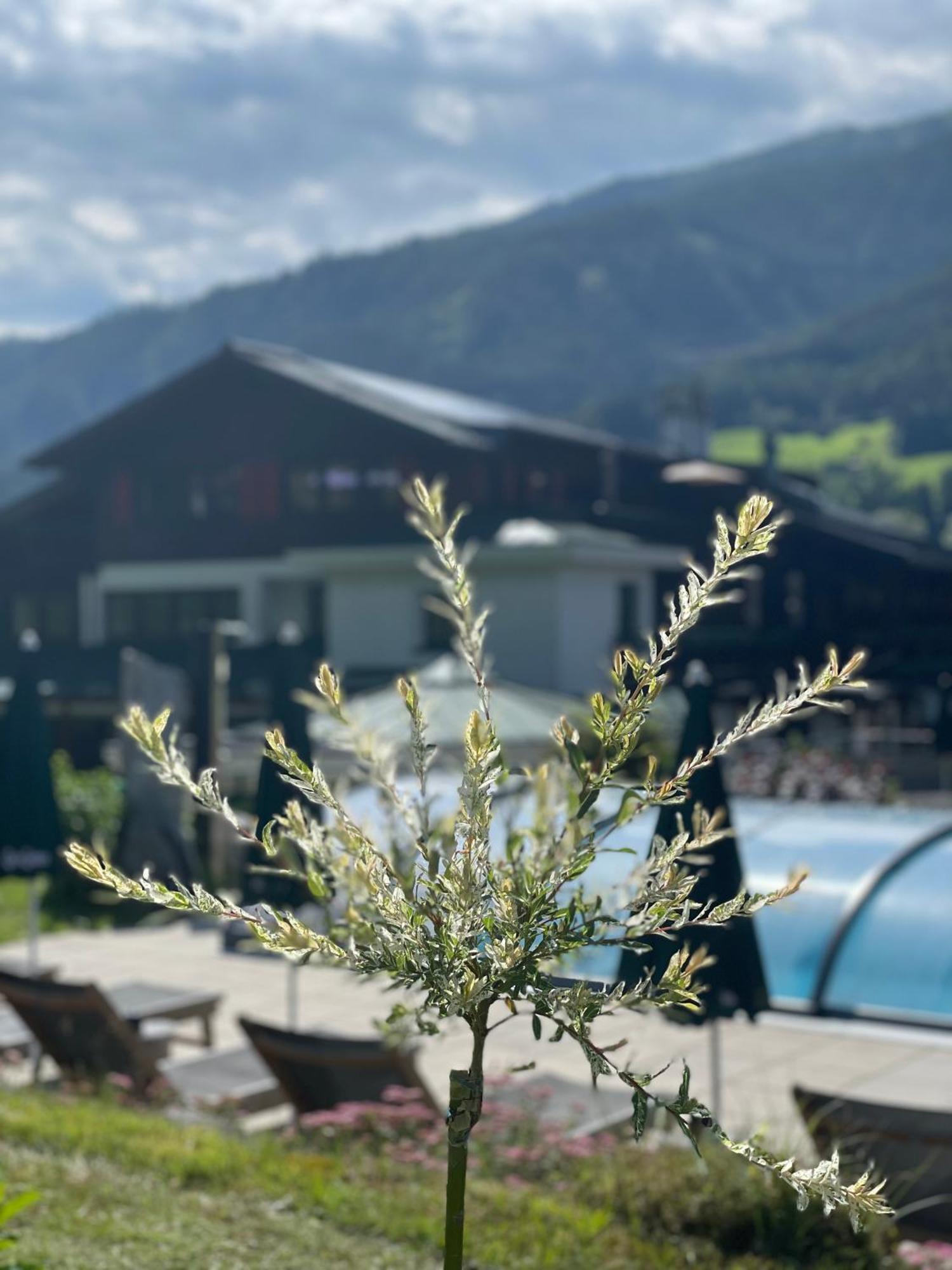 Hotel Senningerbräu Bramberg am Wildkogel Exteriör bild